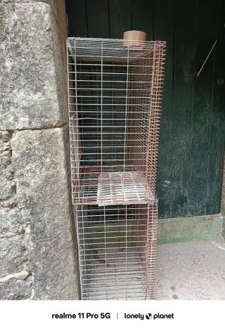 Jaulas para conejos metálicas