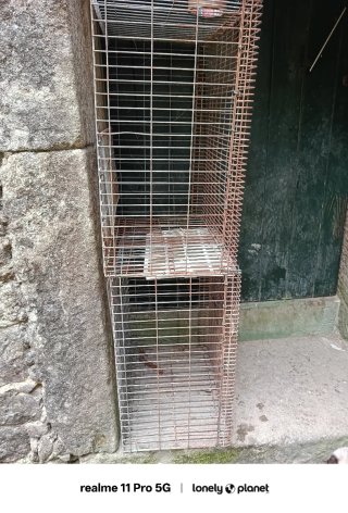Jaulas para conejos metálicas