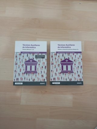 Temario Técnicos Auxiliares de Informática.
