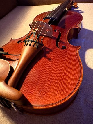 Violín 5 cuerdas / Quintón