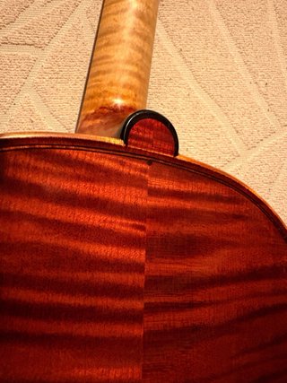 Violín 5 cuerdas / Quintón
