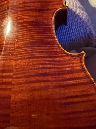 Violín 5 cuerdas / Quintón