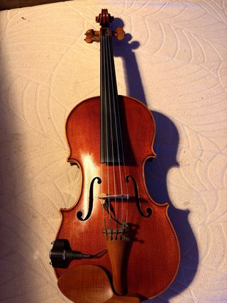 Violín 5 cuerdas / Quintón