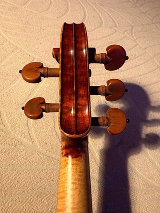 Violín 5 cuerdas / Quintón