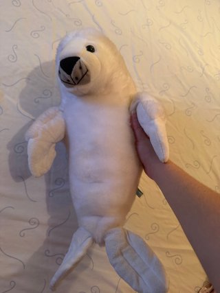 Peluche Foca Blanca