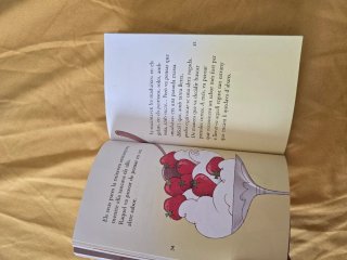 libro infantil La sopa de lletres