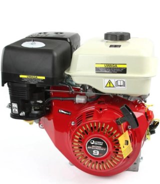 Motor Gasolina 9CV