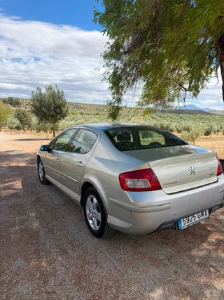 Peugeot 407 2009
