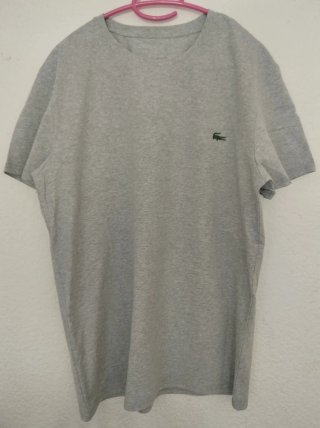 Camiseta gris con estampado marcas The North Face,