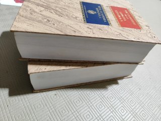 Diccionario Real Academia Española