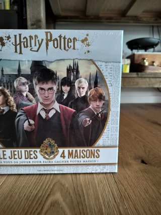 Harry Potter Il Gioco delle 4 Case