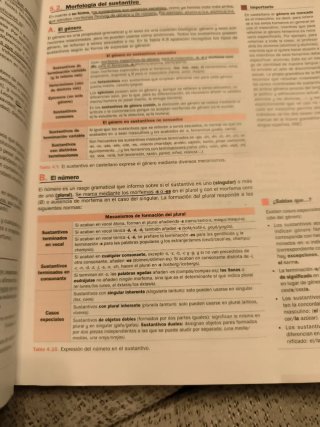 Lengua castellana y literatura 1o Bachillerato