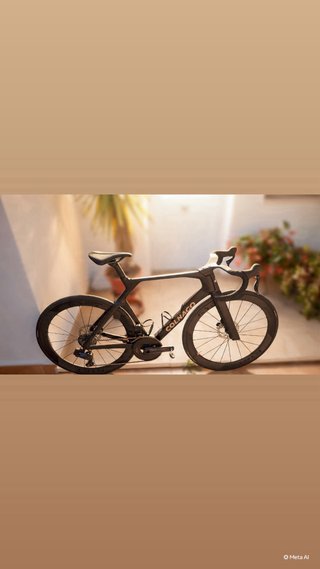 COLNAGO Y1RS