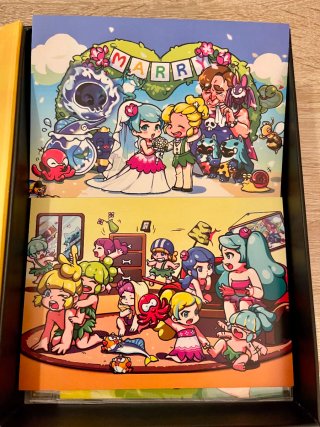 Wonder Boy Returns Remix Nintendo Switch Limited E