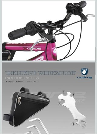 : Bicicleta Montaña Licorne Guide 24
