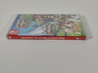 Harvest Moon: The Lost Valley Skytree Village