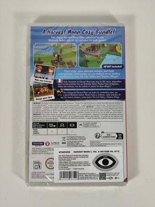 Harvest Moon: The Lost Valley Skytree Village