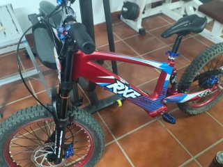Bicicleta Eléctrica 20 Sin Pedales