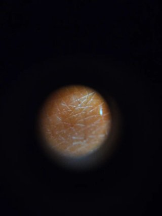 Microscopio para móvil