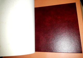 LOTE 2 LIBROS: BURGOS Y PUEBLOS DE SALAMANCA. Leer