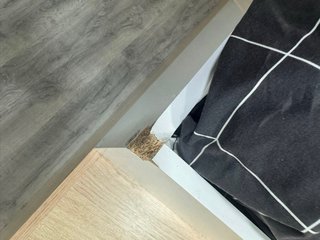 Cama con escritorio + colchón