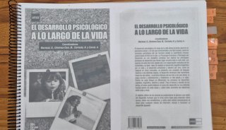 El desarrollo psicológico a lo largo de la vida",