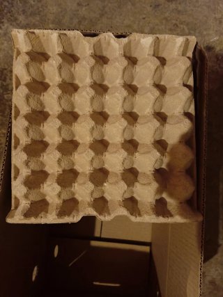 Caja de Huevos para Aislamiento, acustico