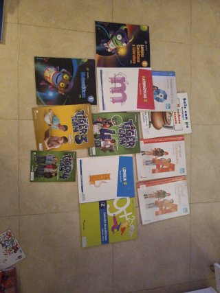 Lote Libros de Texto Primaria (Santillana, Macmill