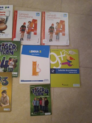 Lote Libros de Texto Primaria (Santillana, Macmill