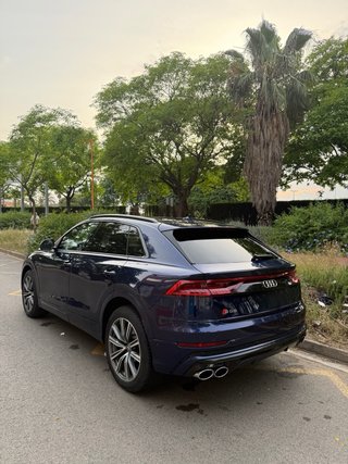 Audi Q8 2019