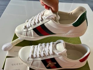 Zapatillas Gucci Originales Hombre
