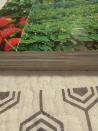 Tratado práctico de horticultura