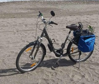 Bicicleta Specialized Expedition Sport Low E