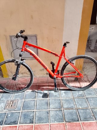 Bicicleta de Montaña PRO