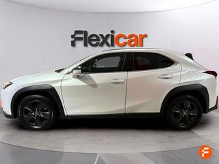 Lexus UX 2.0 250h Business