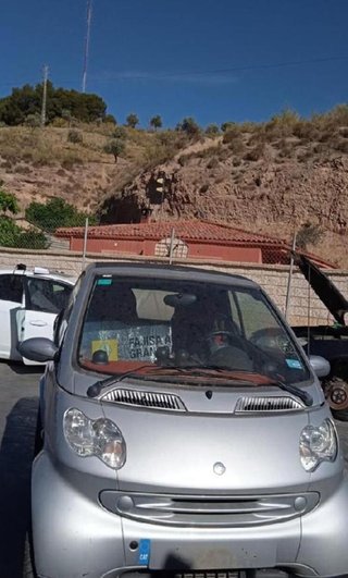 Luz interior smart 66706 0000709 fortwo 0.7 g