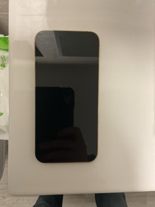 iPhone 13 Pro Max Oro