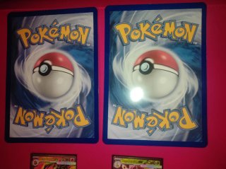 Pack Cartas Pokémon Mega-Emboar EX y Mega-Meganium