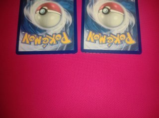 Pack Cartas Pokémon Mega-Emboar EX y Mega-Meganium