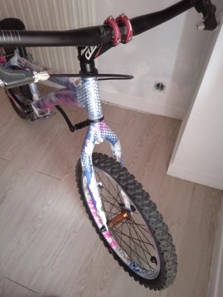 Bici Trial Monty Aluminio Personalizada