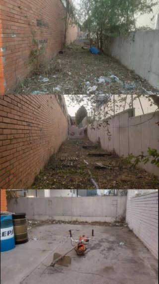 Jardinero profesional