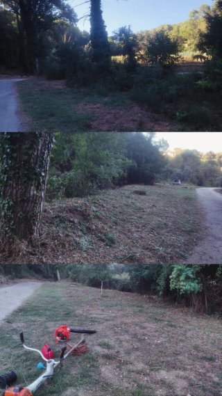 Jardinero profesional