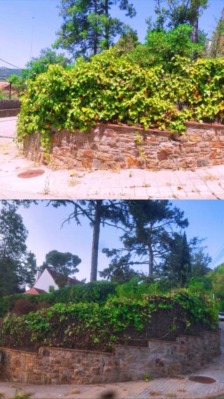 Jardinero profesional