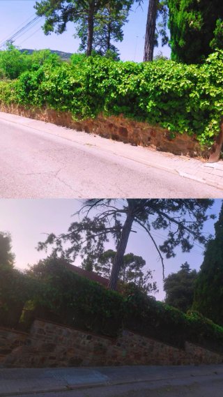Jardinero profesional