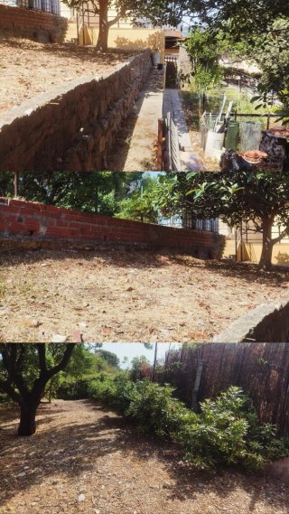 Jardinero profesional