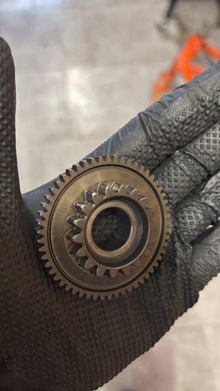 Ktm 250 f freewheel