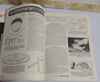 Antigua Revista Charoná n525 1994 Uruguay