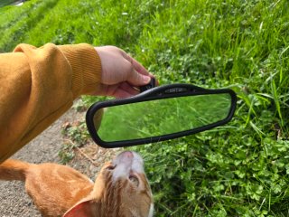 Espejo retrovisor Jeep Grand Cherokee