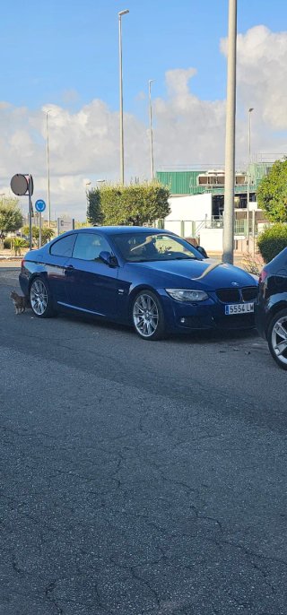 BMW Serie 3 2010