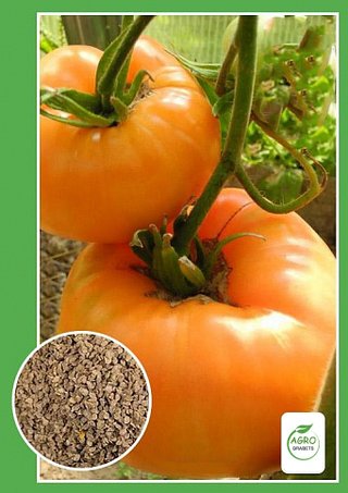 Semillas de tomate "Piña Hawaiana"(10 unidades)
